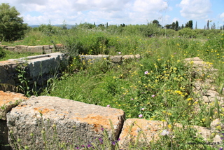 Megara Iblea